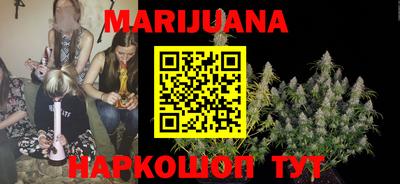 индика Новозыбков