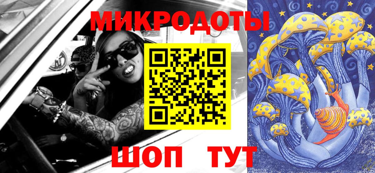 Галлюциногенные грибы Psilocybe Чебоксары